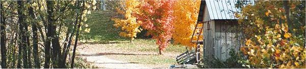Automne